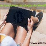 Como Funcionan Plugins