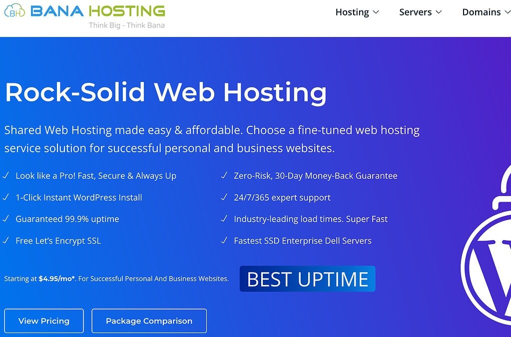 BanaHost: El hosting más barato con cPanel y características destacadas