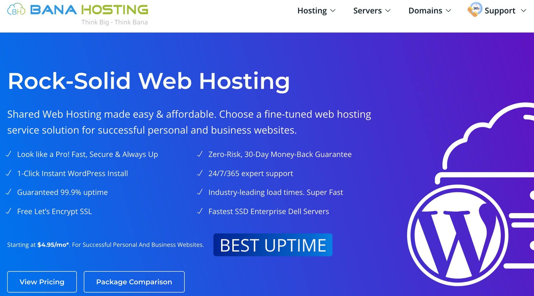 hosting barato cpanel