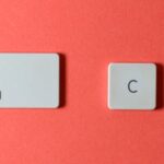 Como Duplicar Pagina En WordPress