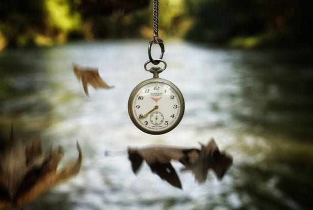 Cuánto tiempo se tarda en diseñar una página web profesional en WordPress