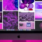 Disenador Web