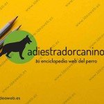 Diseno Logotipo Entrenador Adiestrador Animales- 20 Diseno Logotipo Entrenador Adiestrador Animales