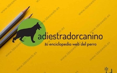 Diseño De Logotipo Entrenador Adiestrador Animales