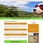 Diseno Pagina Web Madrid Asociacion Fundacion- 19 Paginas Web Madrid