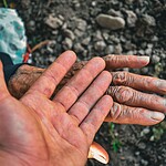 Diseño Web Para Asociaciones Ong Fundaciones Entidades Sociales Voluntariado Donaciones Y Proyectos