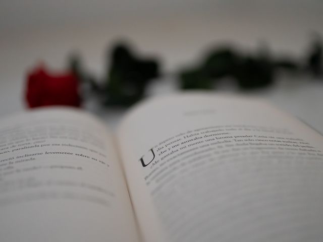 Diseño web para editoriales, autores y escritores Diseño web para editoriales autores escritores y venta online de libros
