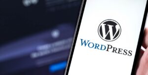 Diseno Web Wordpress Madrid Ideaweb