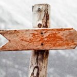 Guia Curriculum Disenador Web