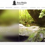 Diseño Web Salud