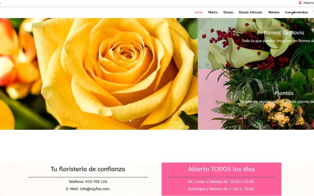 Diseño de tienda online, nueva pagina web para floristería en Madrid