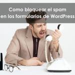 Spam Wordpress