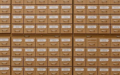 WordPress: para qué sirve cada tabla de la base de datos