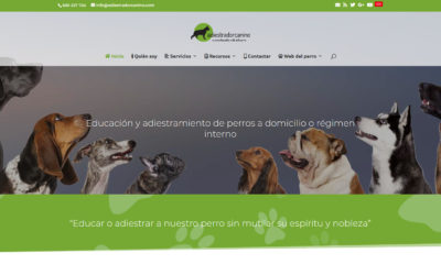 Nuevo Diseño Página Web Para Empresa De Madrid Formación, Adiestramiento Y Educación Canina