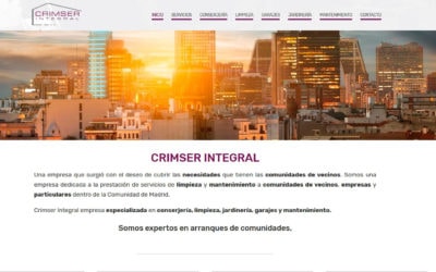 Diseño De Página Web Para Empresa Multiservicios En Madrid Dedicada A Servicios Integrales A Comunidades.
