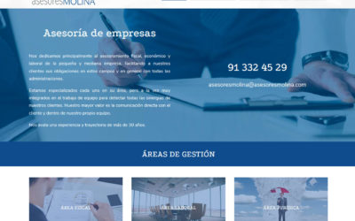 Diseño De Página Web Para Consultorías, Asesorías Y Gestorías. Empresa En Madrid Caso De Diseño Web.