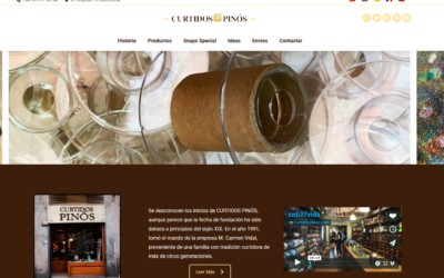 Diseño De Página Web Para Tienda Taller De Artesanía Y Curtidos Artesanos